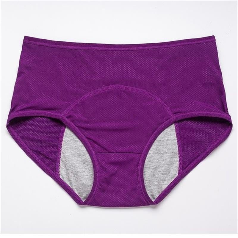 đLimited Sale - BUY 2 GET 1 FREEđ2025 New Upgrade High Waist Leak Proof Panties
