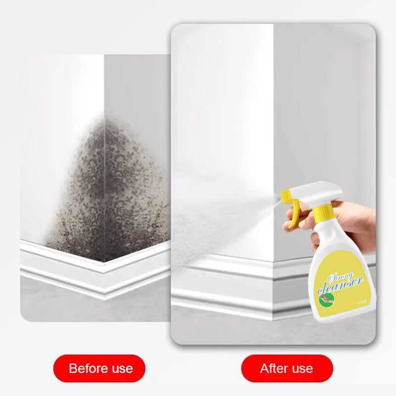 🔥LAST DAY -BUY 2 GET 1 FREE🔥Bright As New Wall Mold Removal Spray
