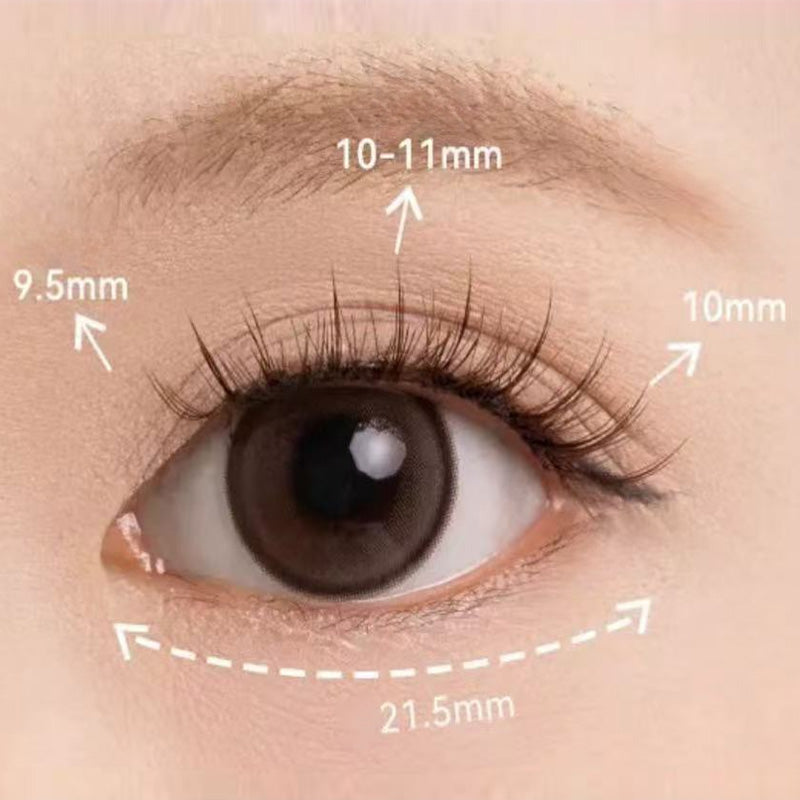 Adhesive Free Long Lasting Soft Magnetic False Eyelash