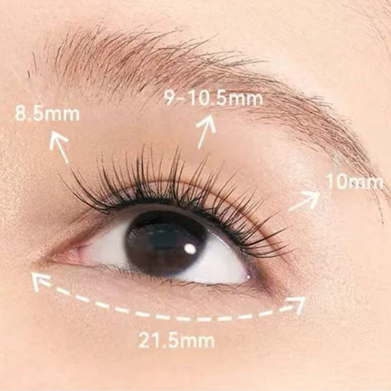 Adhesive Free Long Lasting Soft Magnetic False Eyelash