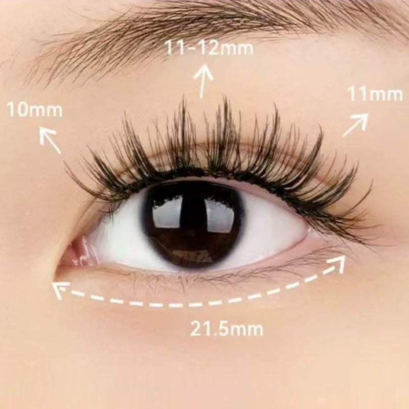 Adhesive Free Long Lasting Soft Magnetic False Eyelash