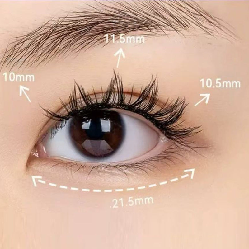 Adhesive Free Long Lasting Soft Magnetic False Eyelash