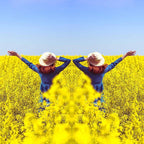 Mirror Effect Lens - Capture Stunning Reflections Instantly