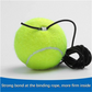 🔥 Last Day Sale 55%🎾🏏Tennis Ball Training Baseboard