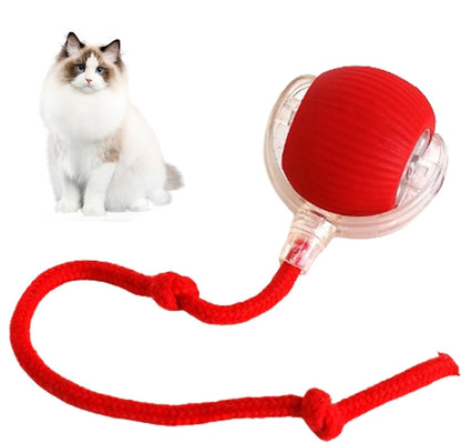 🔥Christmas Hot Sale 45% OFF 🎁 Pet toy ball