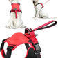 Dog Harness and Retractable Leash Set All-in-One