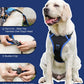 Dog Harness and Retractable Leash Set All-in-One