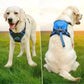 Dog Harness and Retractable Leash Set All-in-One