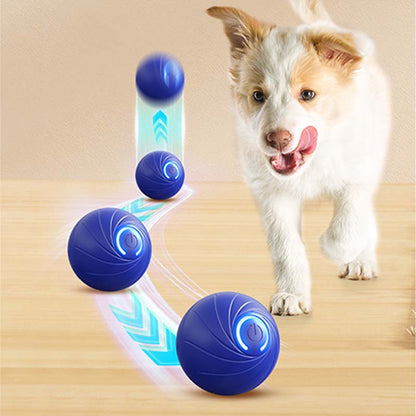 🎅Xmas Sales - 50% OFF🎄Rechargeable Pet Interactive Motion Ball with Lights