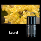 😍 Limited Time Half Price - Car Humidifier Aroma Diffuser