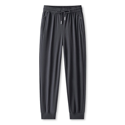 💯Spring Specials🎉 Ice Feel Quick Dry Athletic Casual Pants