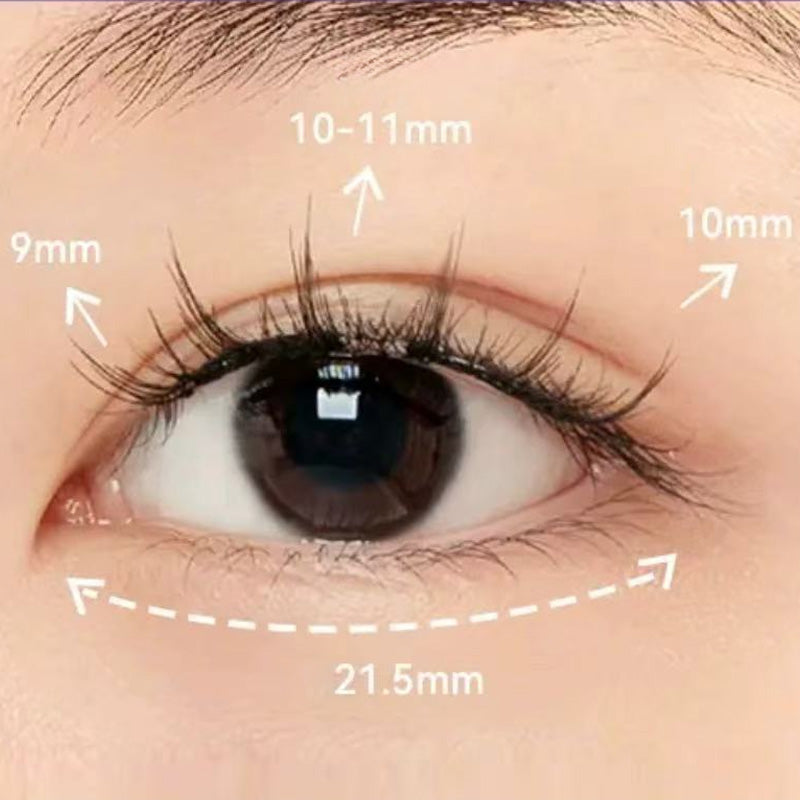 Adhesive Free Long Lasting Soft Magnetic False Eyelash