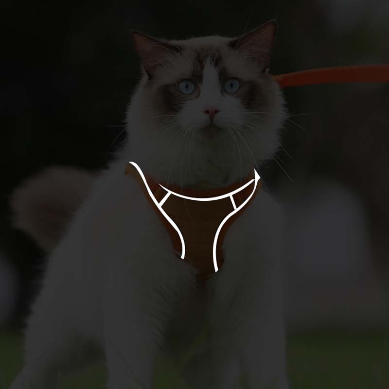 🐾Anti-Flucht-Reflexionsband für Katzen mit Leine