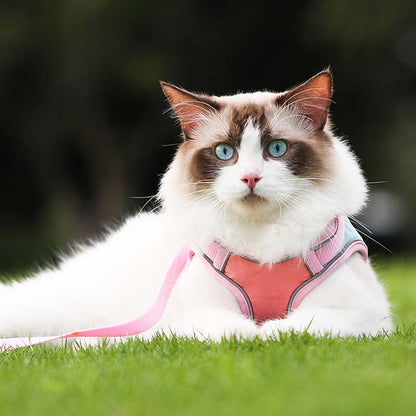 🐾Anti-Flucht-Reflexionsband für Katzen mit Leine